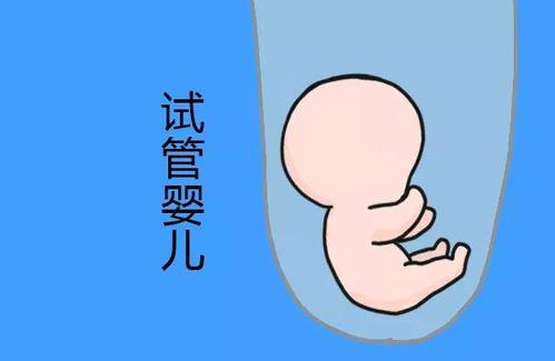 胚胎学家